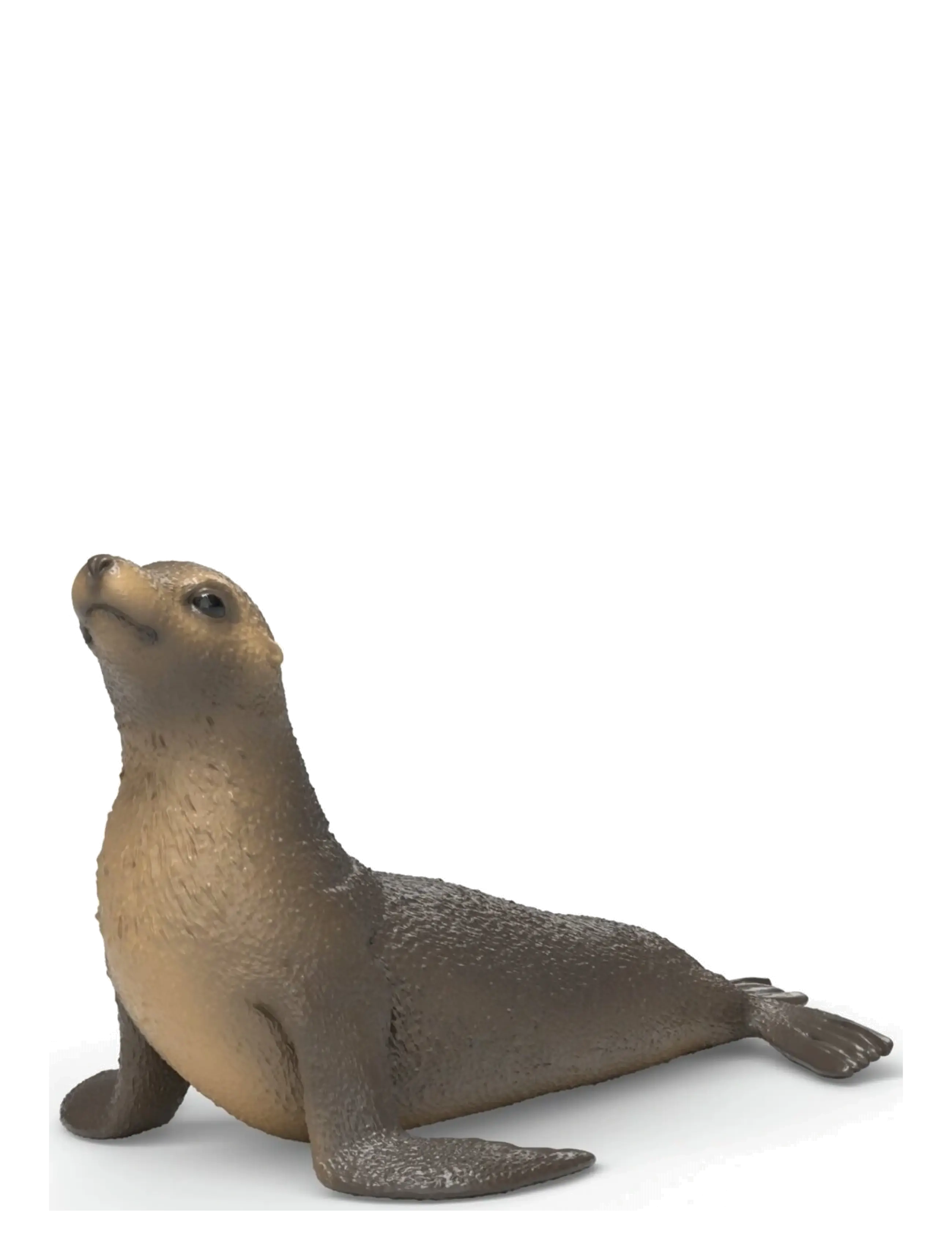 Schleich Schleich Sea Lion - Schleich - MULTI / brown