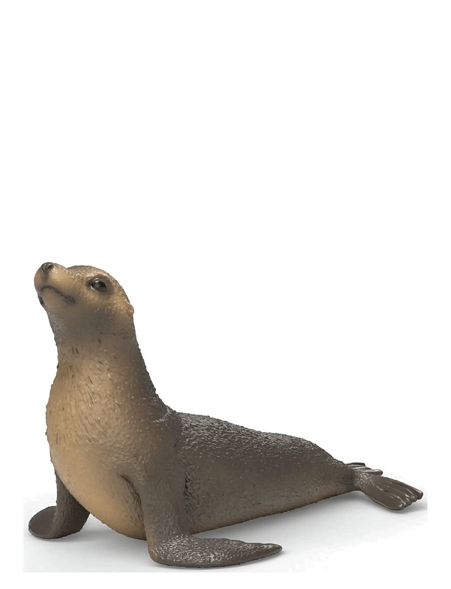 Schleich - Schleich Sea Lion - dyr - multi - 1