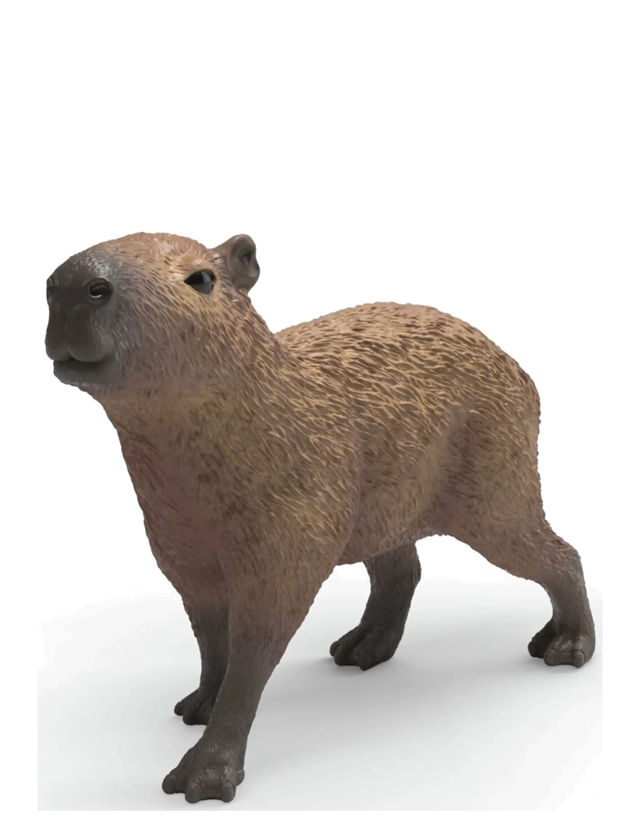 Schleich Schleich Capybara - Schleich - MULTI / brown