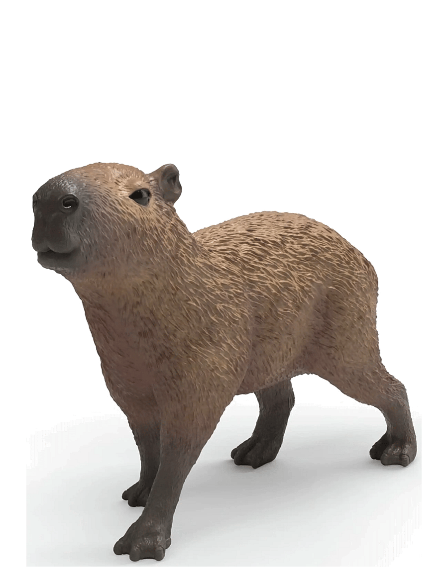 Schleich - Schleich Capybara - multi - 0