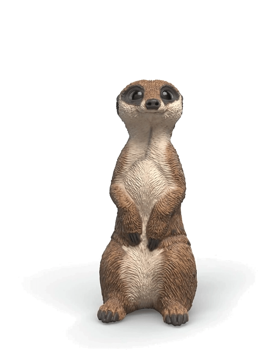 Schleich - Schleich Meerkat - multi - 0