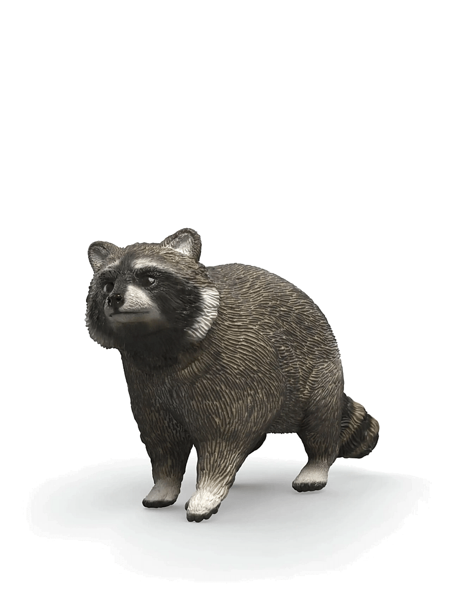 Schleich - Schleich Raccon - djur - multi - 1