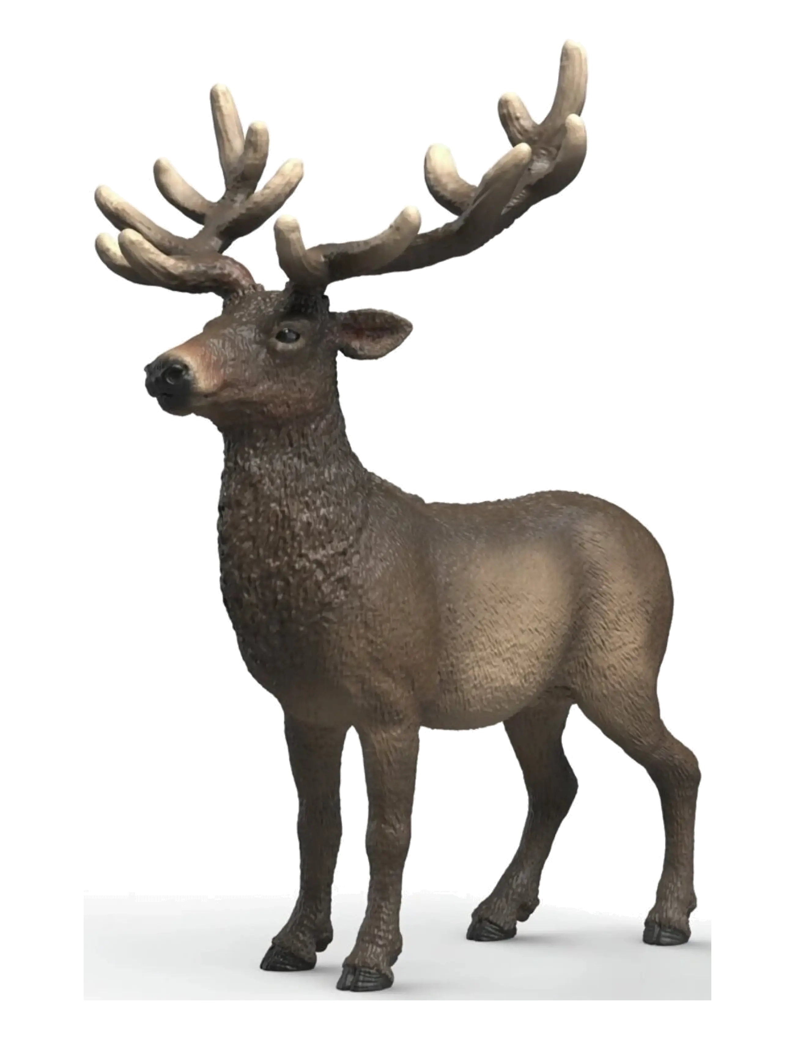 Schleich Elk, Dyr, Multi/mønstret, Str: ONE SIZE