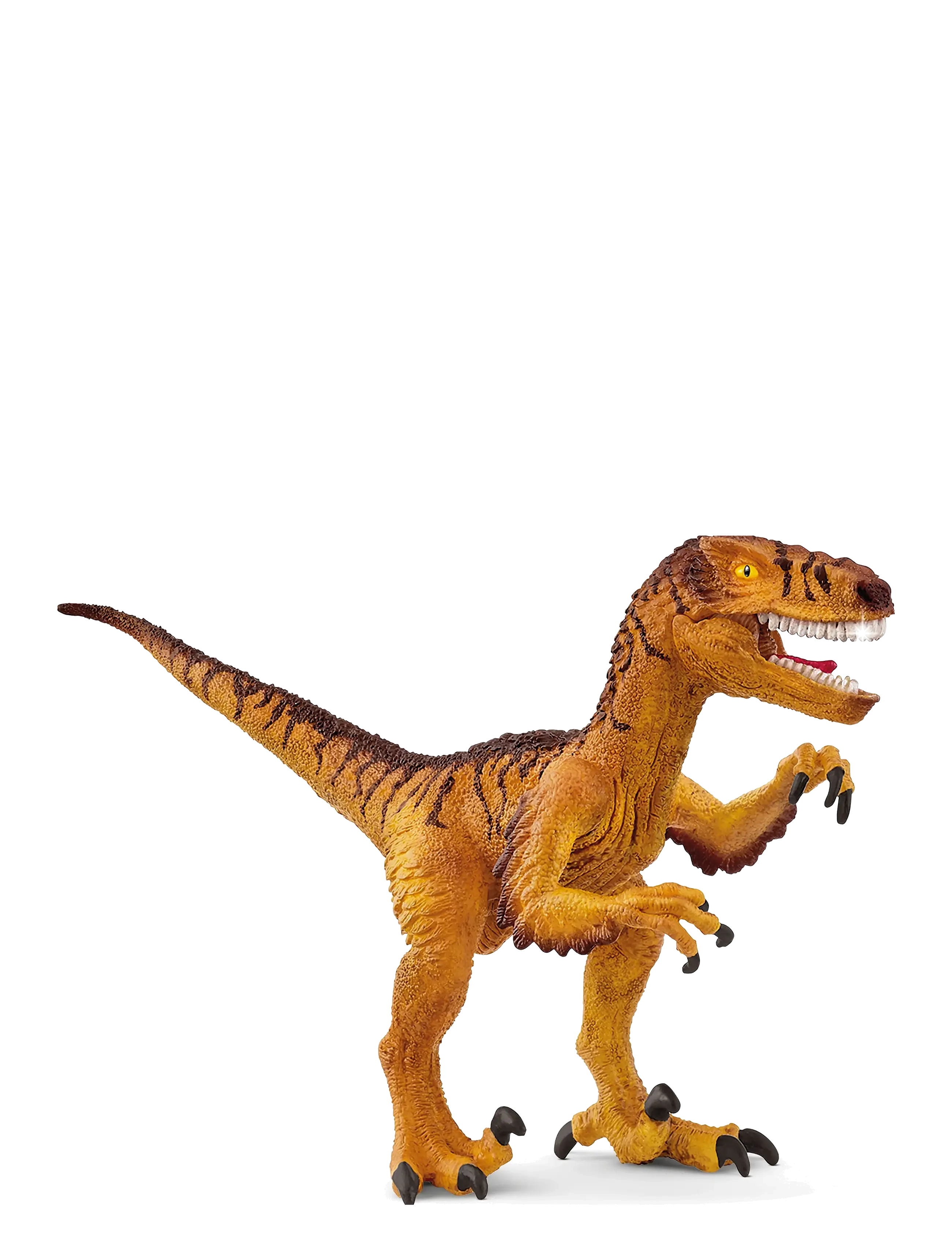 Schleich Schleich Velociraptor - 4 for 3 - MUTI / orange