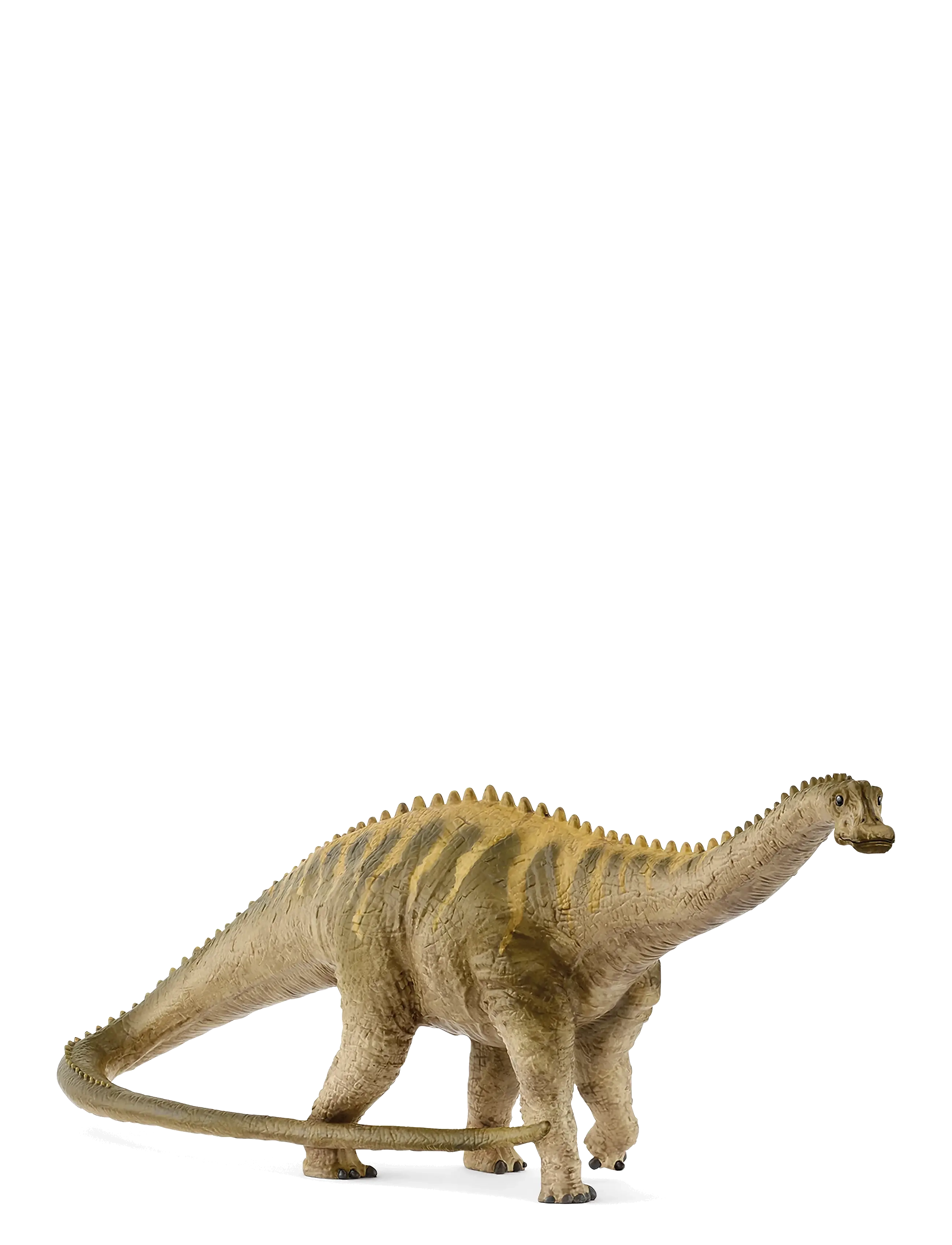 Schleich Schleich Diplodocus - 4 for 3 - MUTI / multi