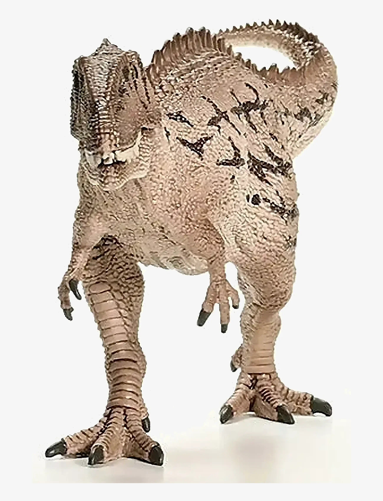 Schleich - Schleich Carcharodontosaurus - actionfigurer - muti - 3