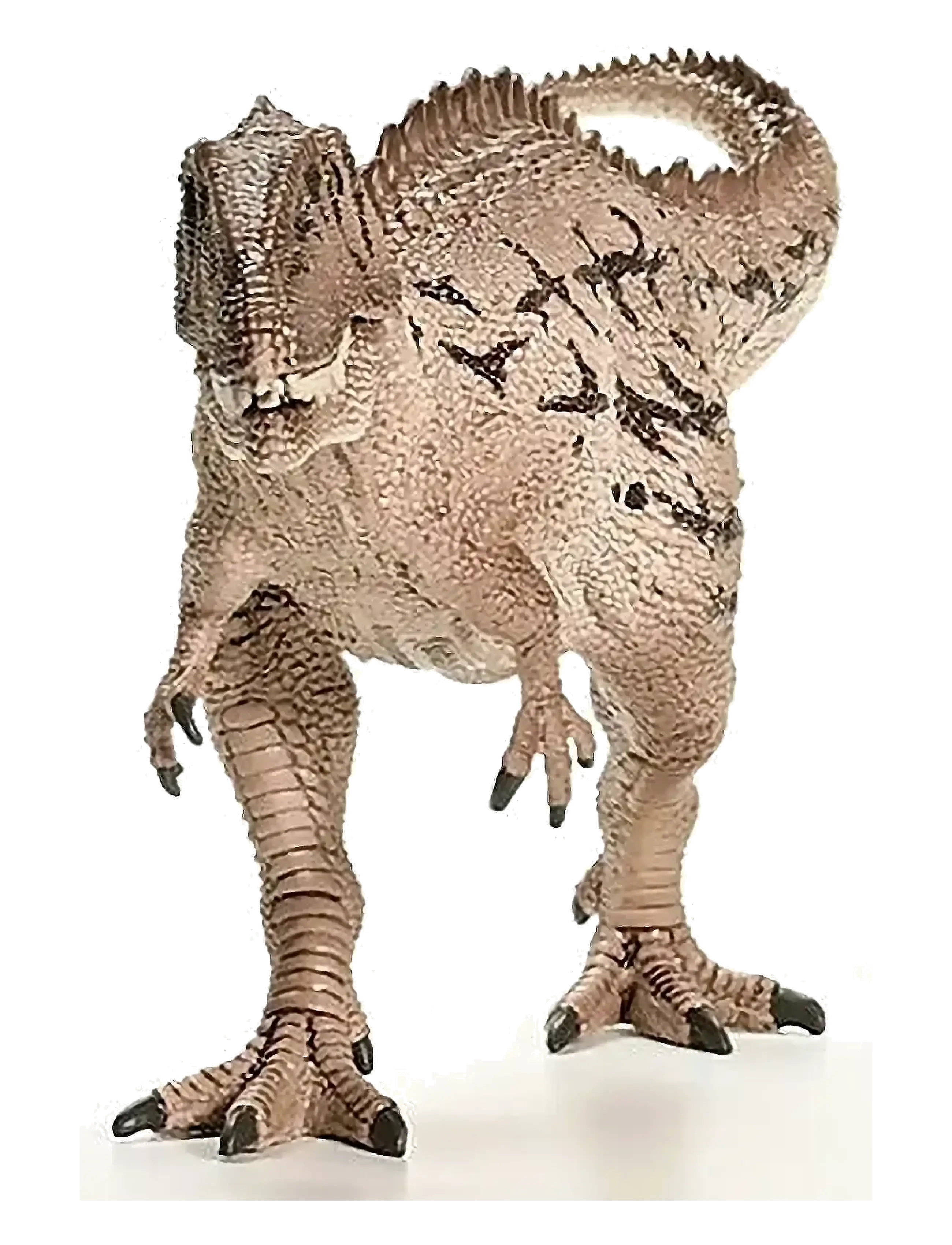 Schleich - Schleich Carcharodontosaurus - lägsta priserna - muti - 2