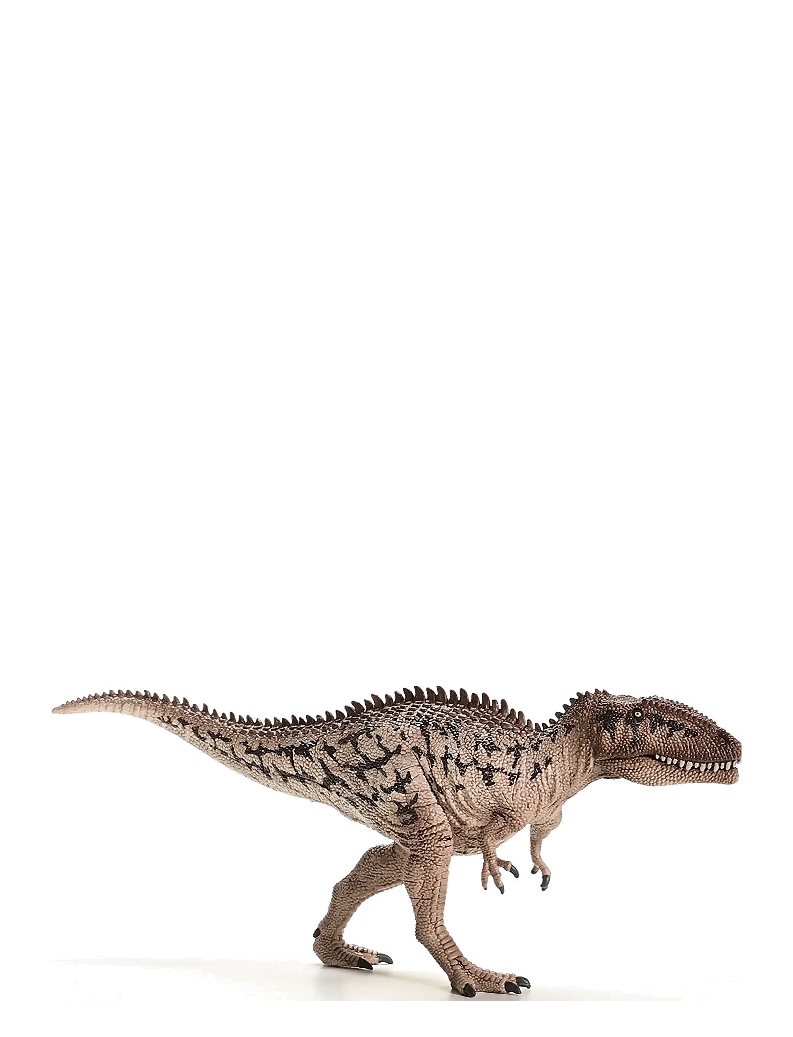 Schleich - Schleich Carcharodontosaurus - lägsta priserna - muti - 4