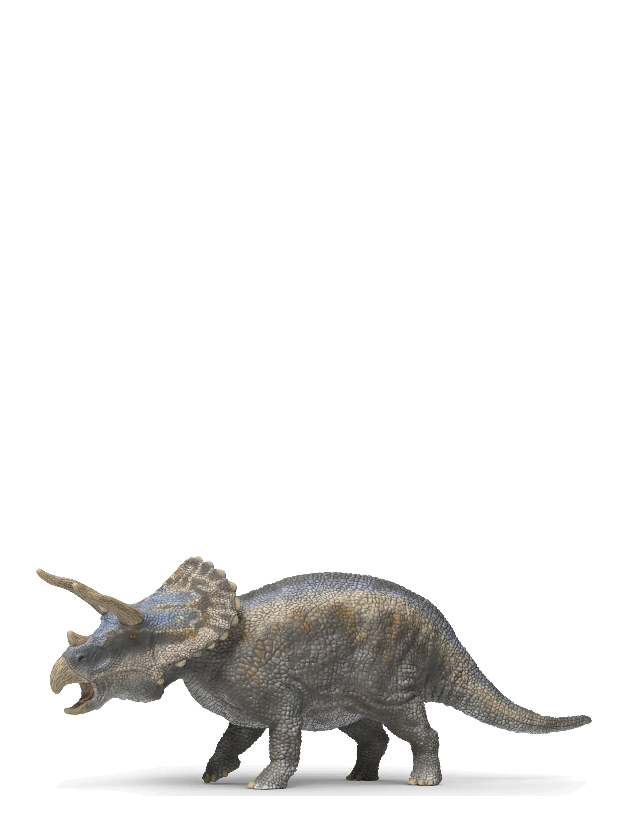 Schleich - Schleich Triceratops - dýr - multi - 1