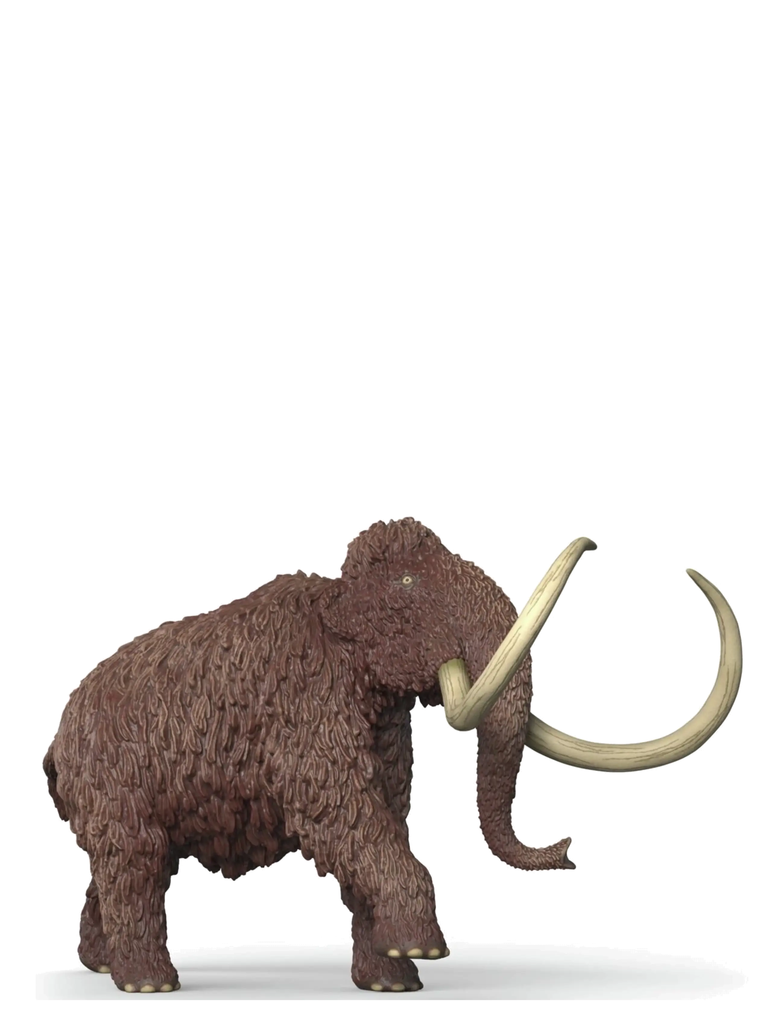 Schleich Mammoth, Børn, Dyr, Brun, Str: ONE SIZE