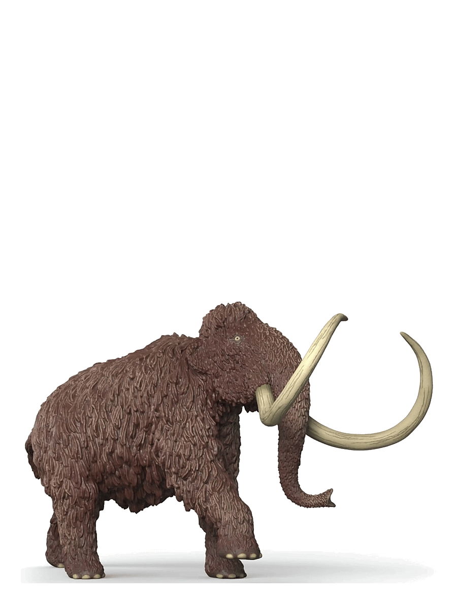 Schleich - Schleich Mammoth - dyr - multi - 0