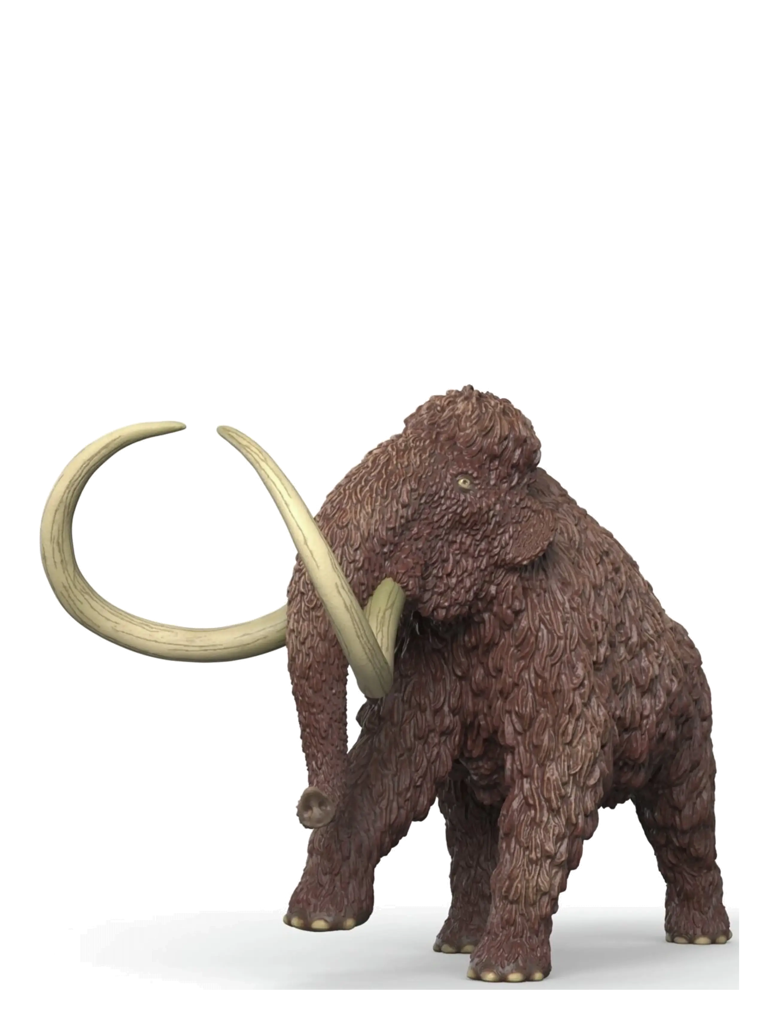 Schleich - Schleich Mammoth - djur - multi - 1