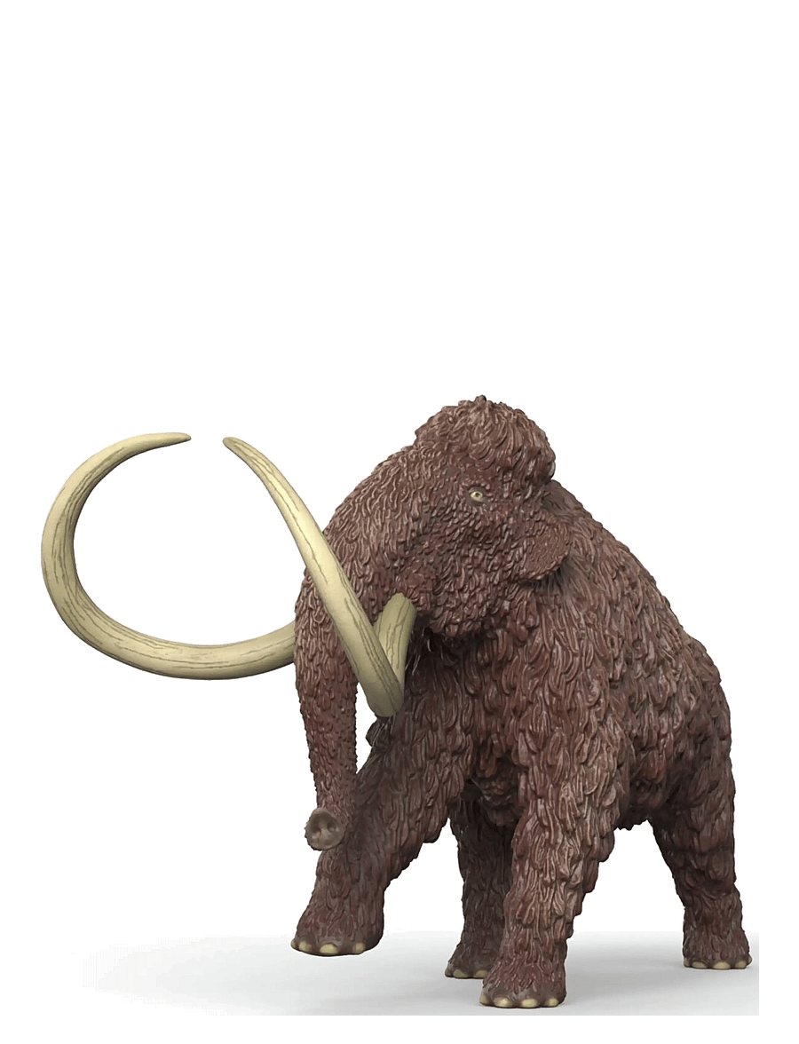 Schleich - Schleich Mammoth - dyr - multi - 1