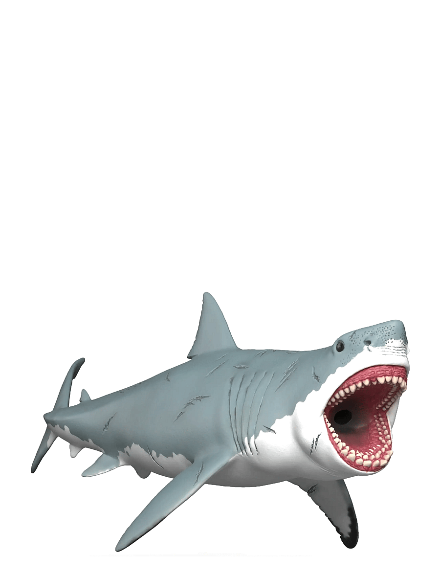Schleich - Schleich Megalodon - dýr - muti - 0
