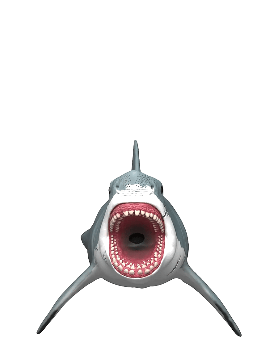 Schleich - Schleich Megalodon - dyr - muti - 1
