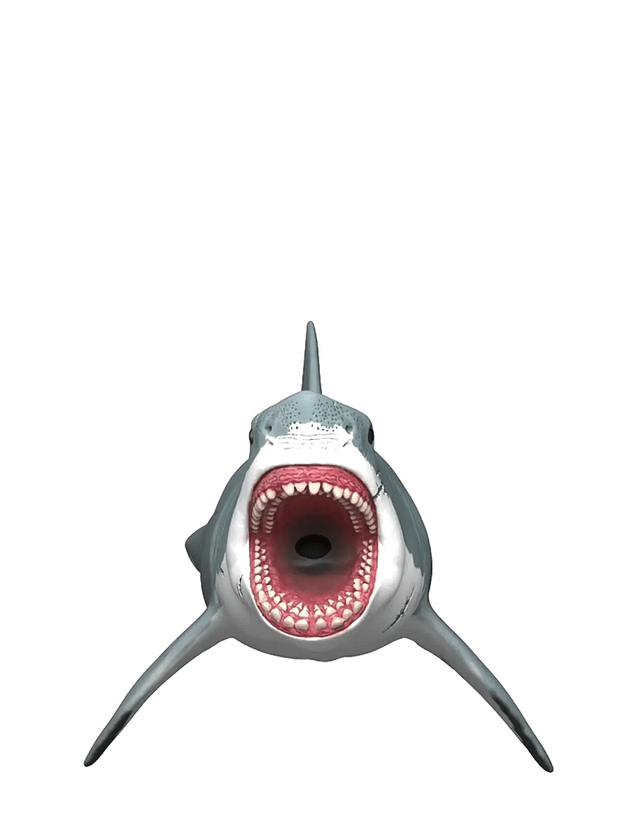 Schleich - Schleich Megalodon - dýr - muti - 1