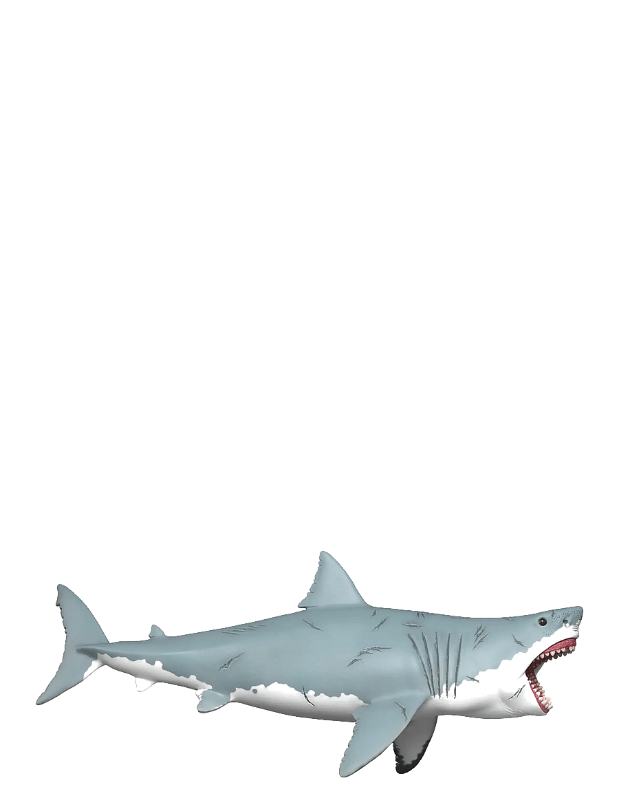 Schleich - Schleich Megalodon - dyr - muti - 3
