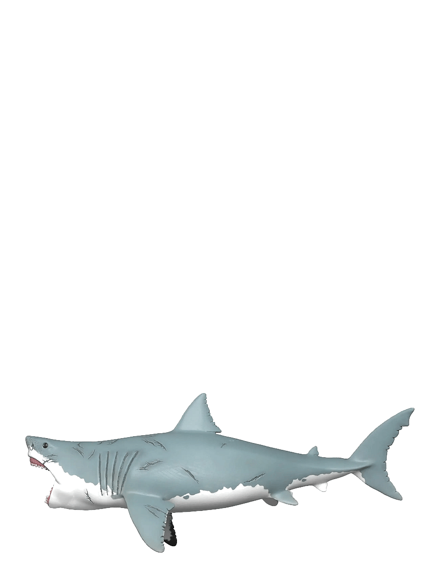Schleich - Schleich Megalodon - dýr - muti - 4