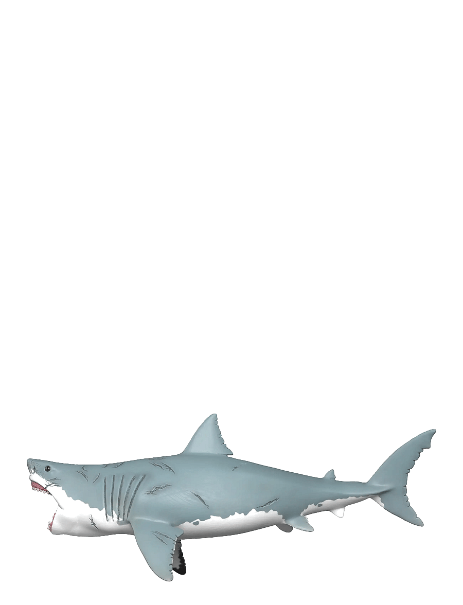 Schleich - Schleich Megalodon - dyr - muti - 4