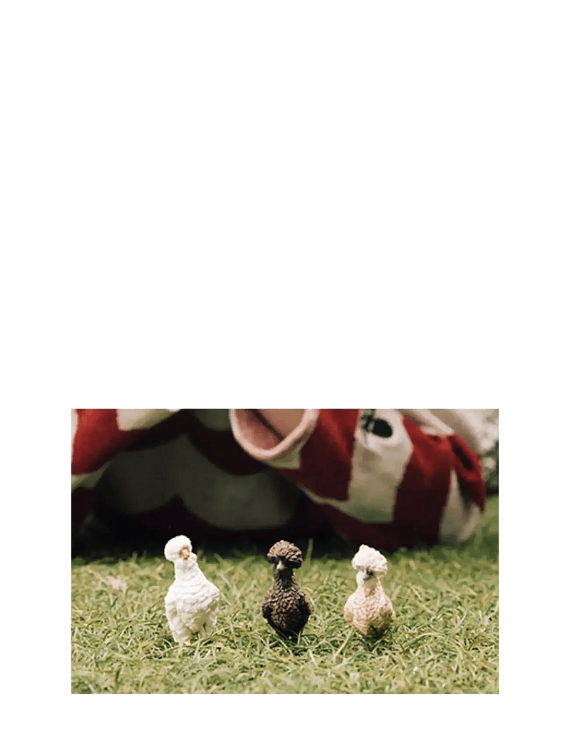 Schleich - Schleich Chicken Friends - dýr - multi - 2