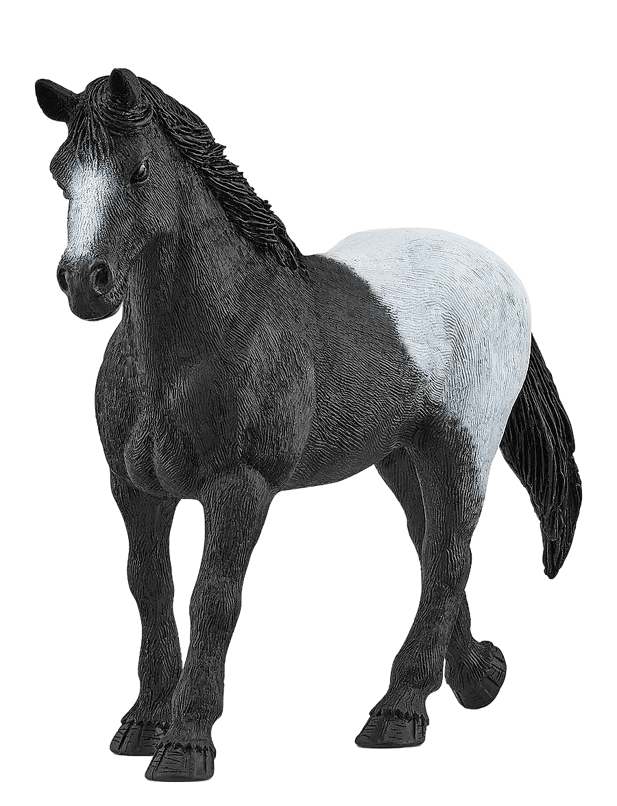 Schleich - Schleich Horse Box with Mare and Foal - lekesett - multi - 4