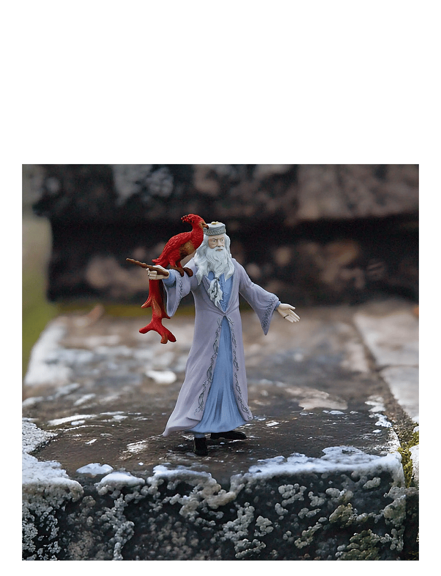 Schleich - Schleich HP Dumbledore & Fawkes - multi - 3