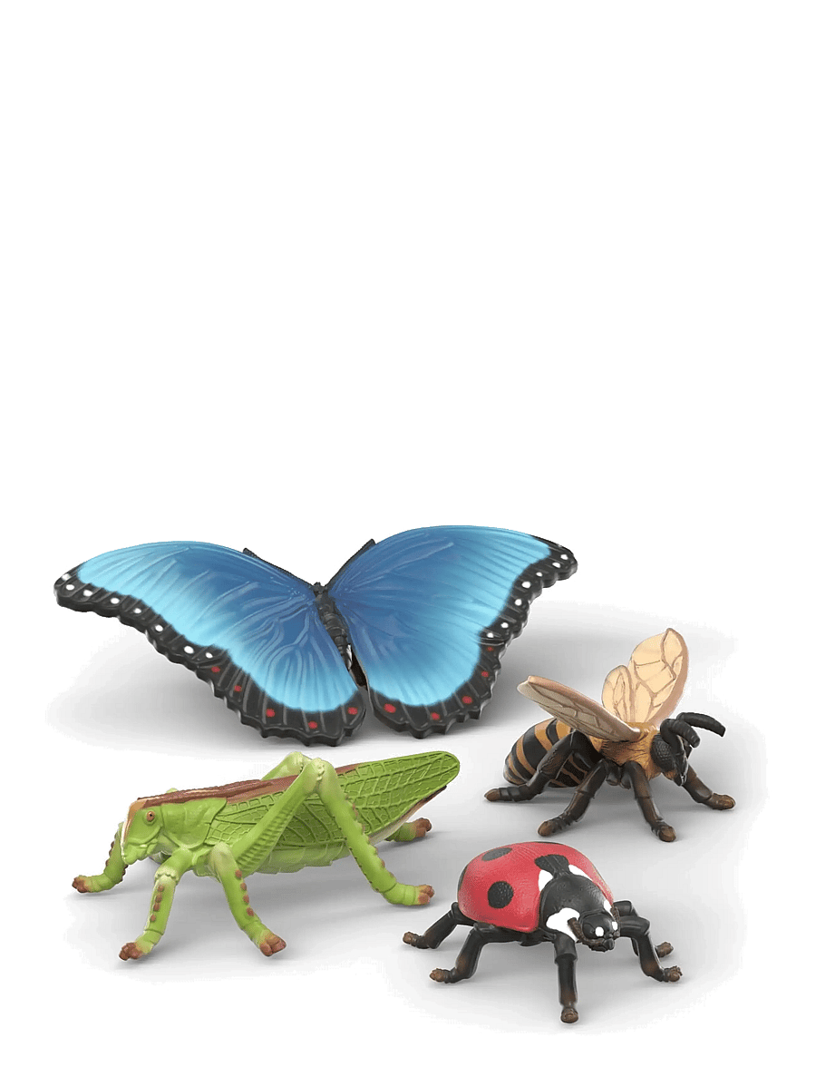 Schleich - Schleich Insects Discovery Set - djur - multi - 1