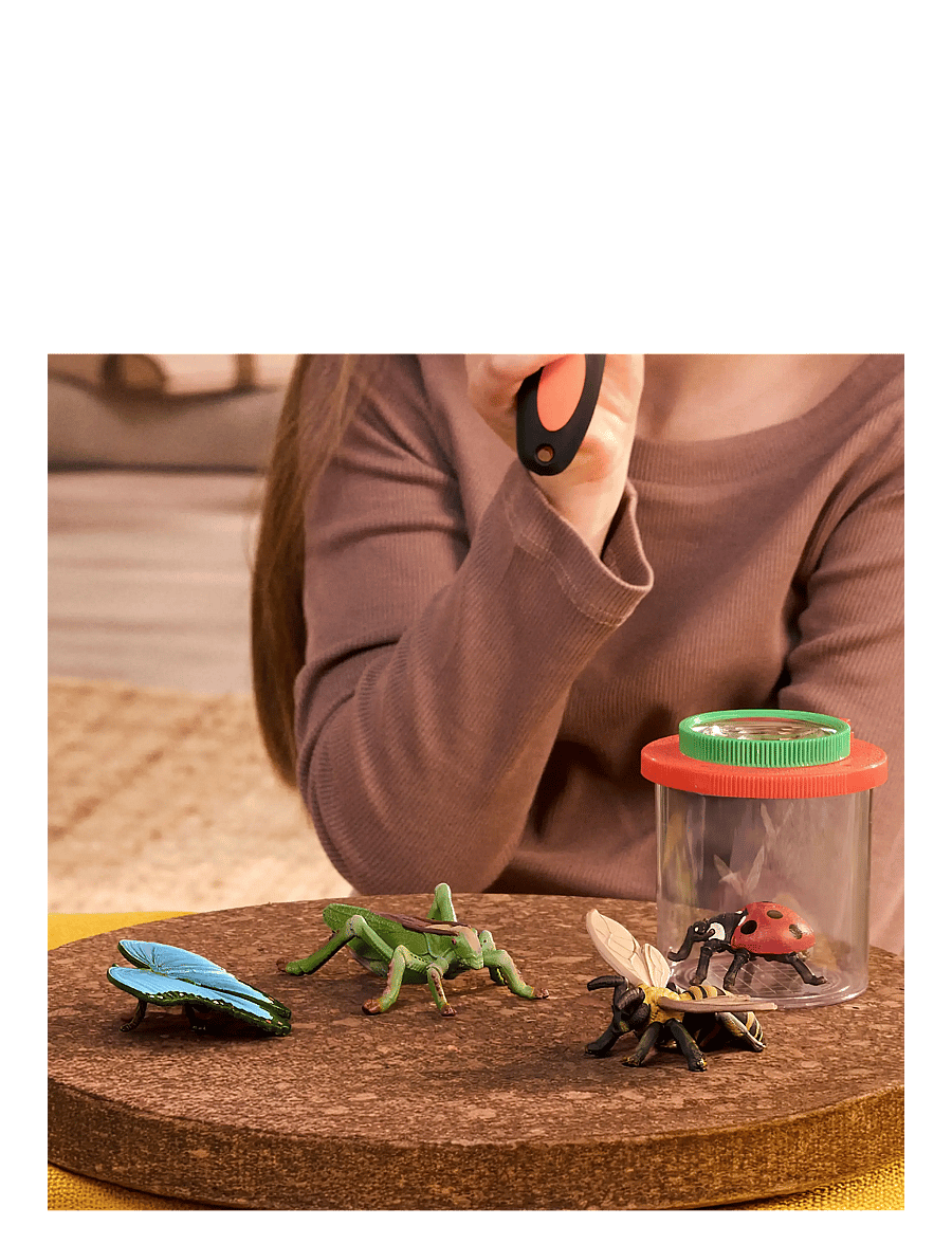 Schleich - Schleich Insects Discovery Set - djur - multi - 0