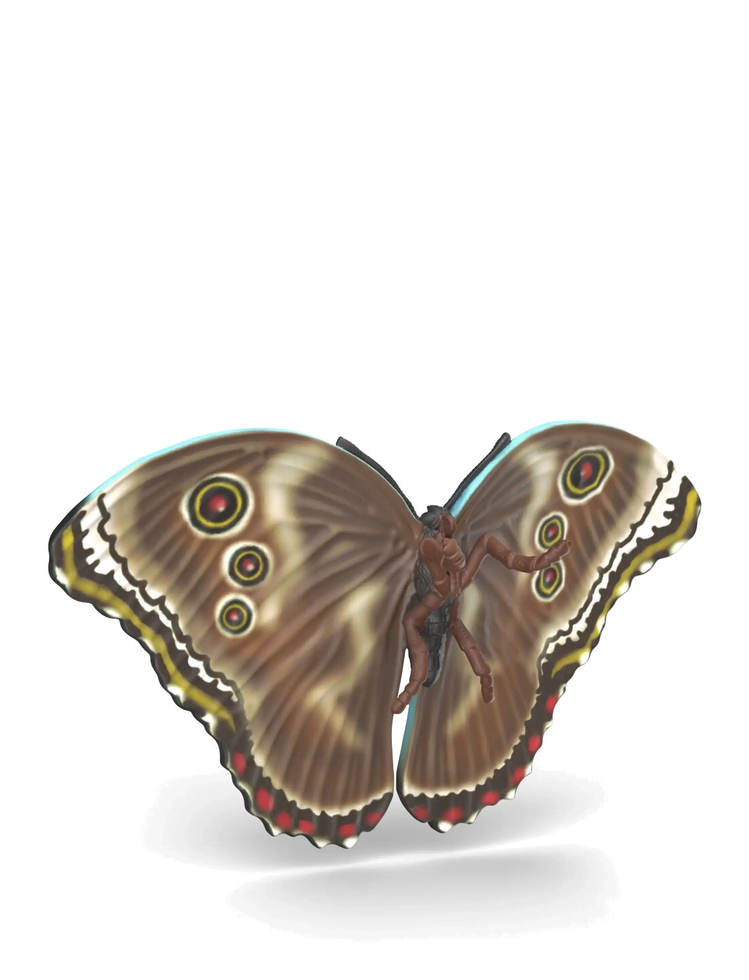 Schleich - Schleich Insects Discovery Set - multi - 5