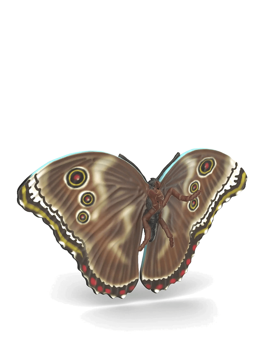 Schleich - Schleich Insects Discovery Set - djur - multi - 5