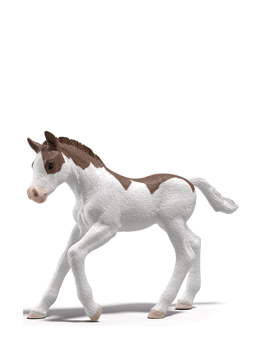 Schleich - Schleich Collectible Foal Dipper - dyr - multi - 0