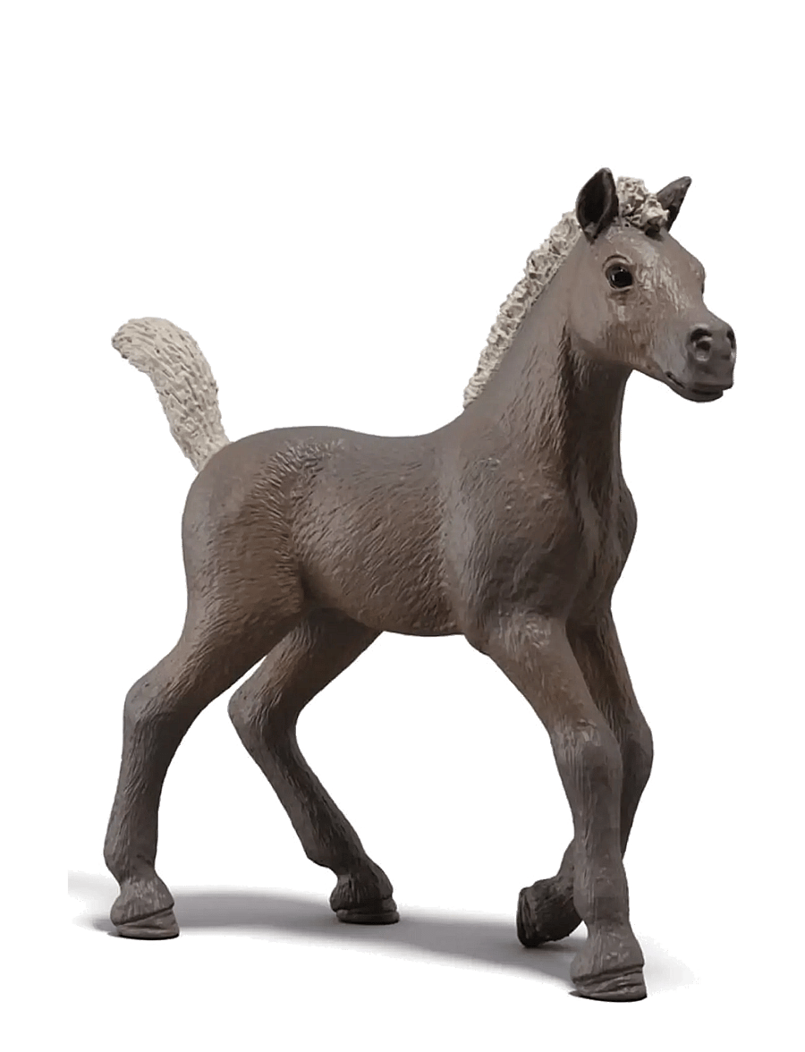 Schleich - Schleich Collectible Foal Darcy - dyr - multi - 0