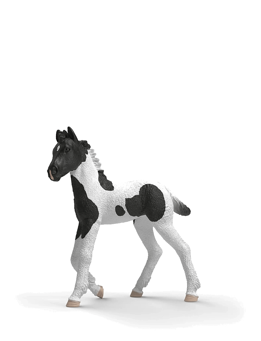 Schleich - Schleich Collectible Foal Rocky - dyr - multi - 0