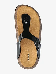 Scholl - SL ANAIS 24 PU LEATHER - flat sandals - black - 3