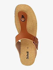 Scholl - SL CLAUDE PU LEATHER - flat sandals - cognac - 3
