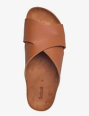 Scholl - SL VIVIAN PU LEATHER - flat sandals - cognac - 3