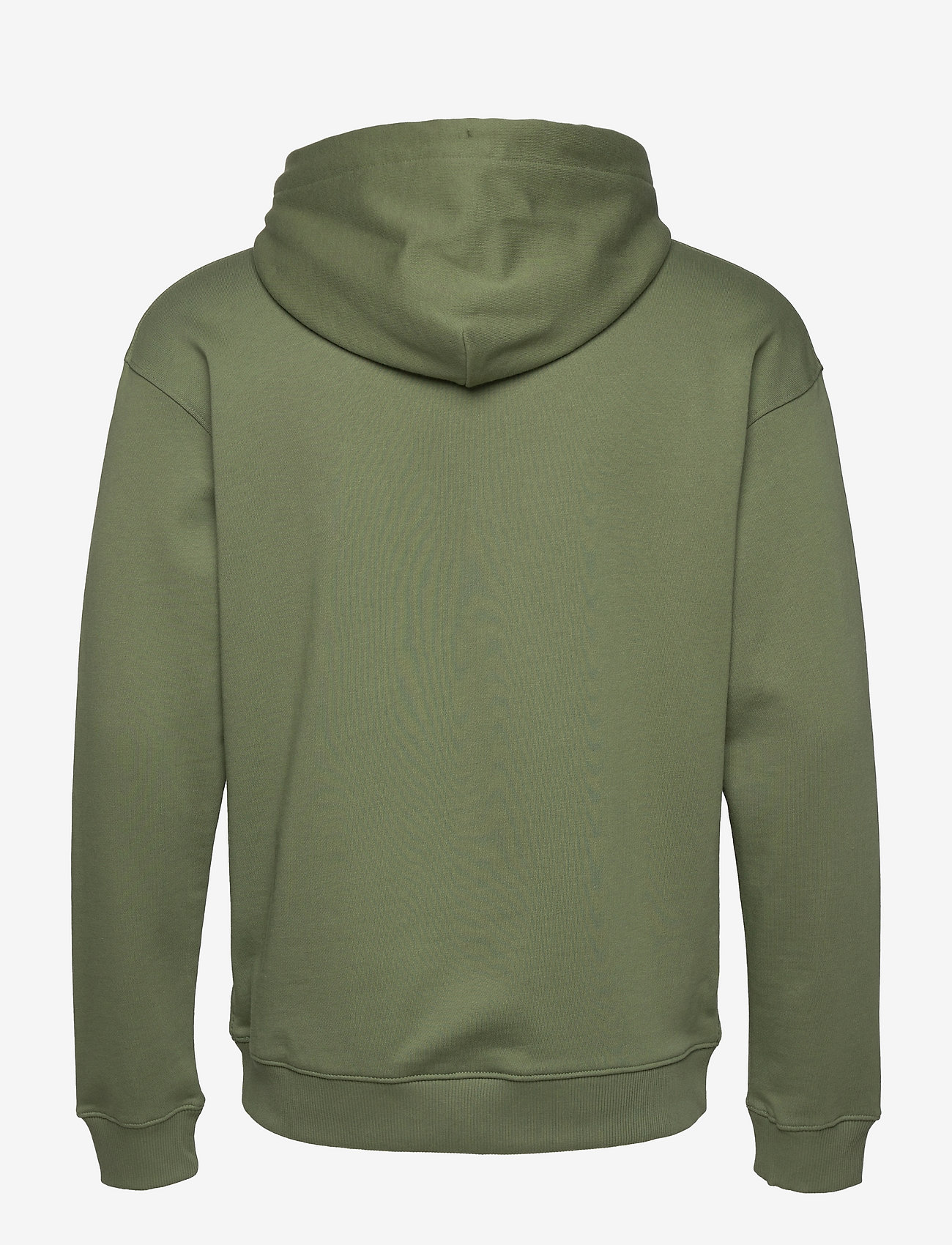 Scotch & Soda - Hooded logo felpa sweatshirt in Organic Cotton - lizzard - 1