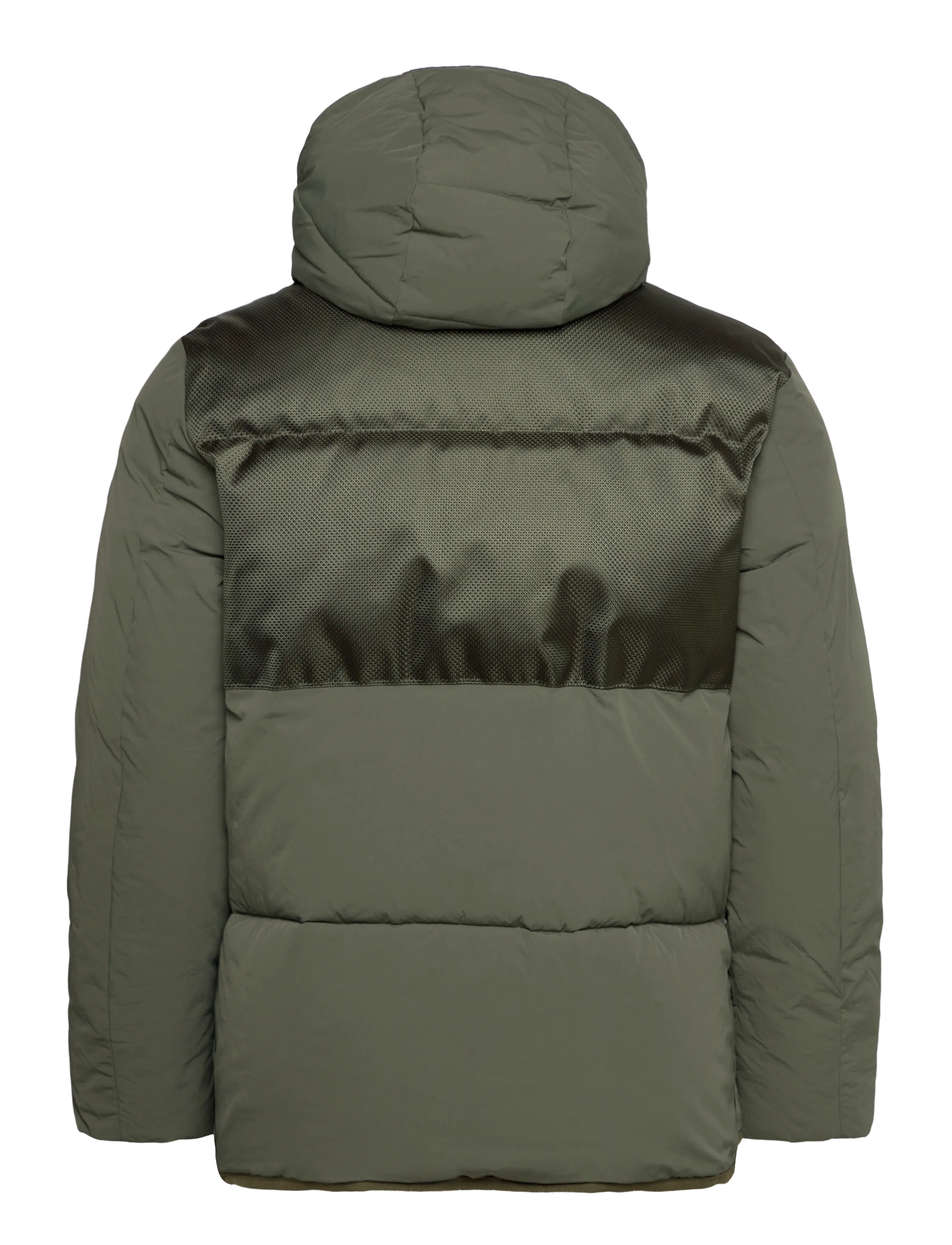 Scotch & Soda - Hooded puffer jacket - thyme - 1