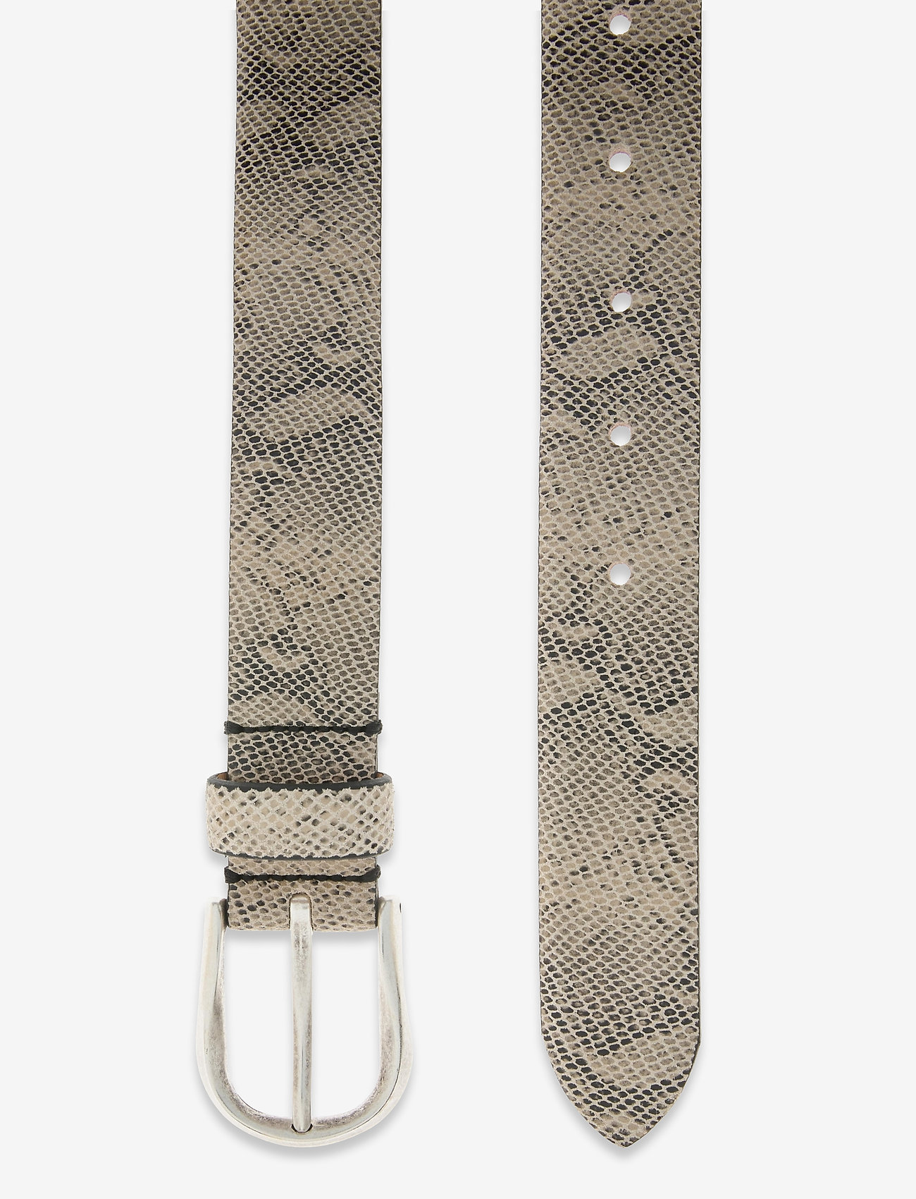 Saddler - Sigrid - snake - 1