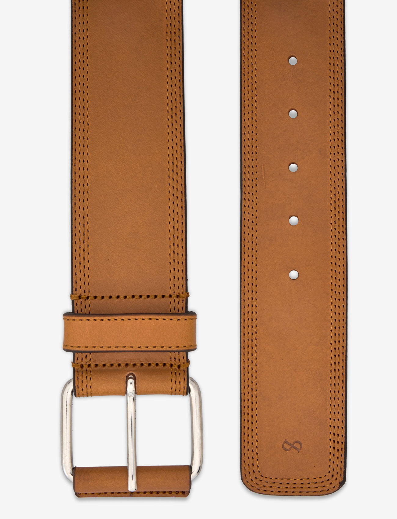 Saddler - Valencia - nature - 1