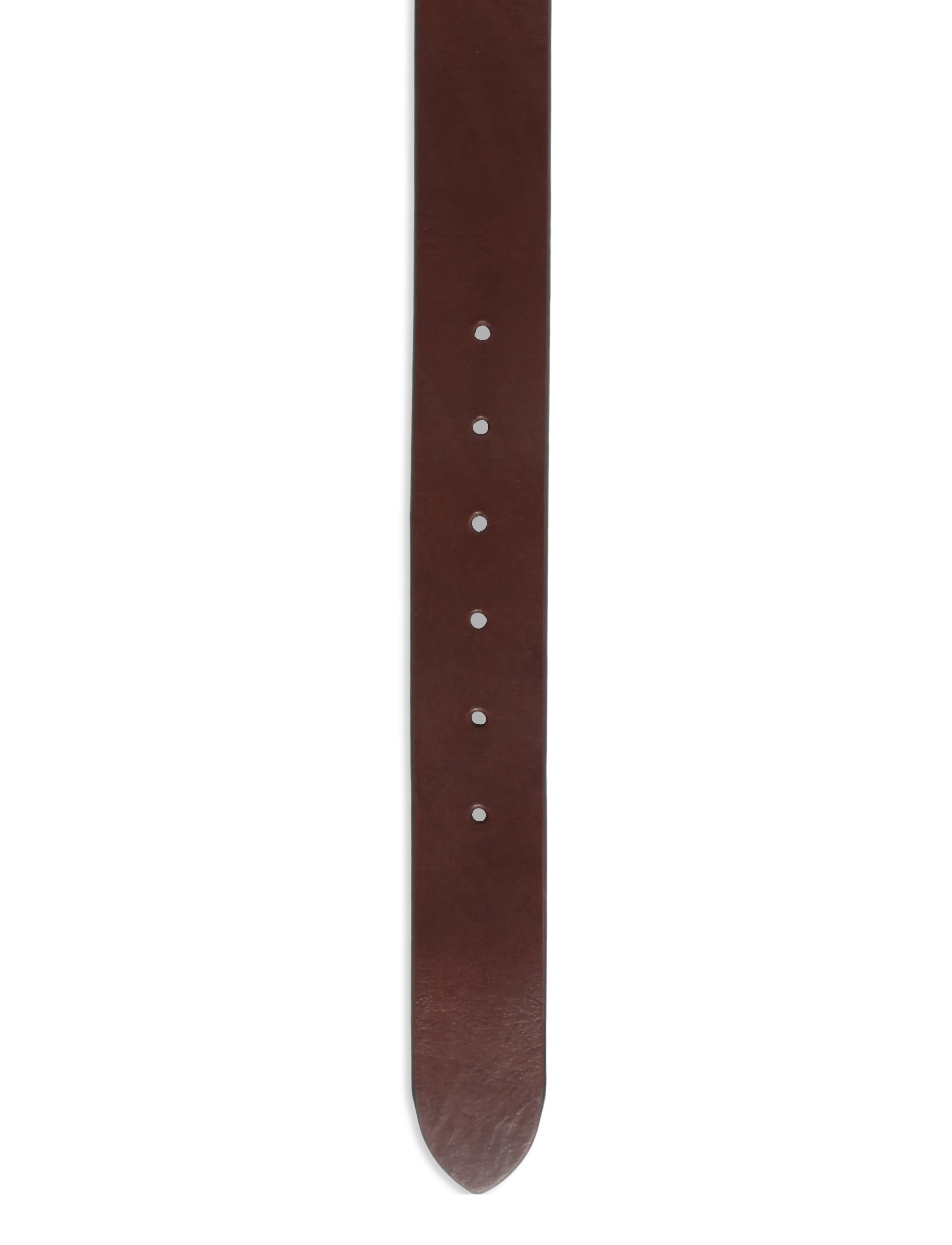 Saddler - Serena - läderskärp - dk.brown/gold - 2