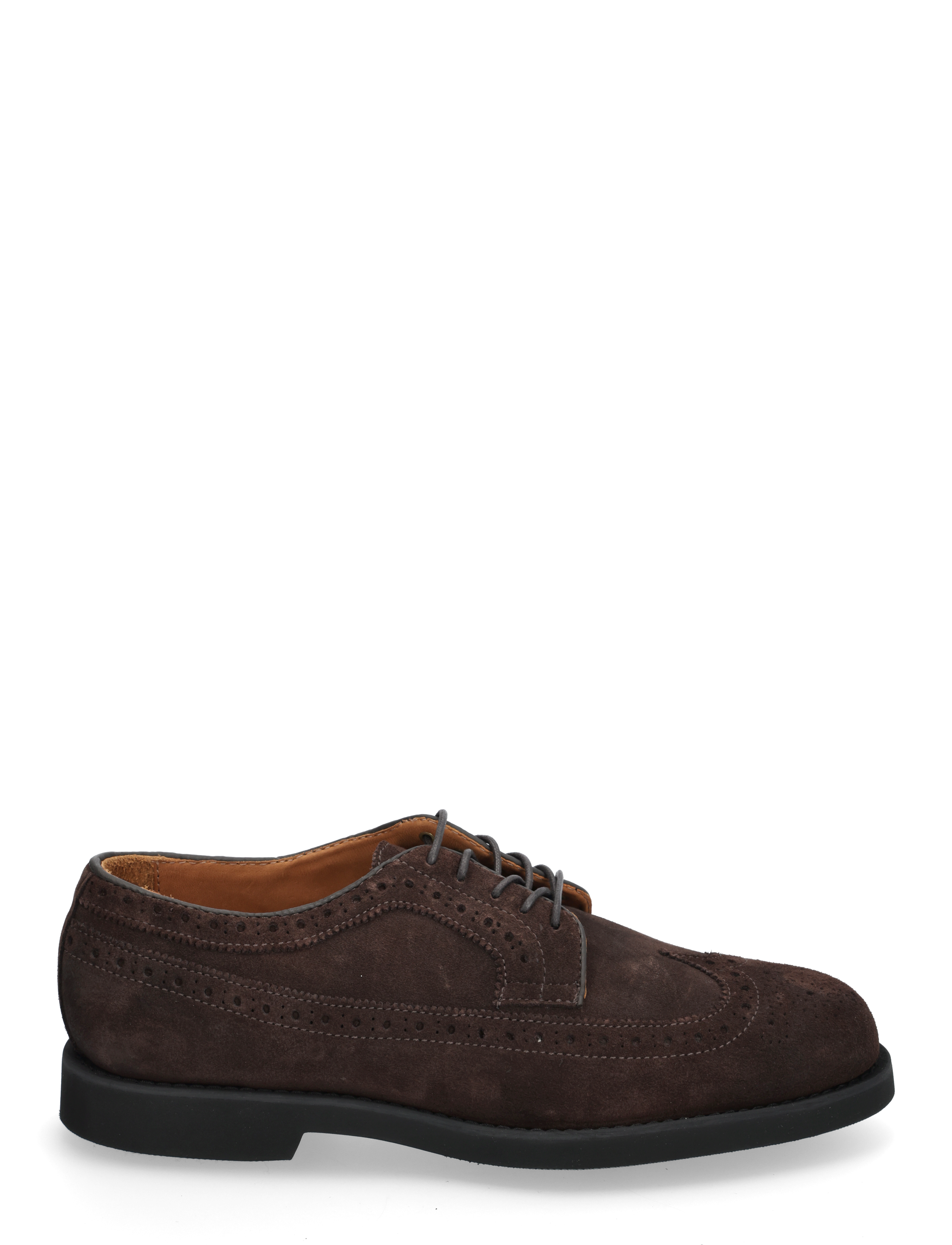 Sebago - Canton Suede - dk brown - 2