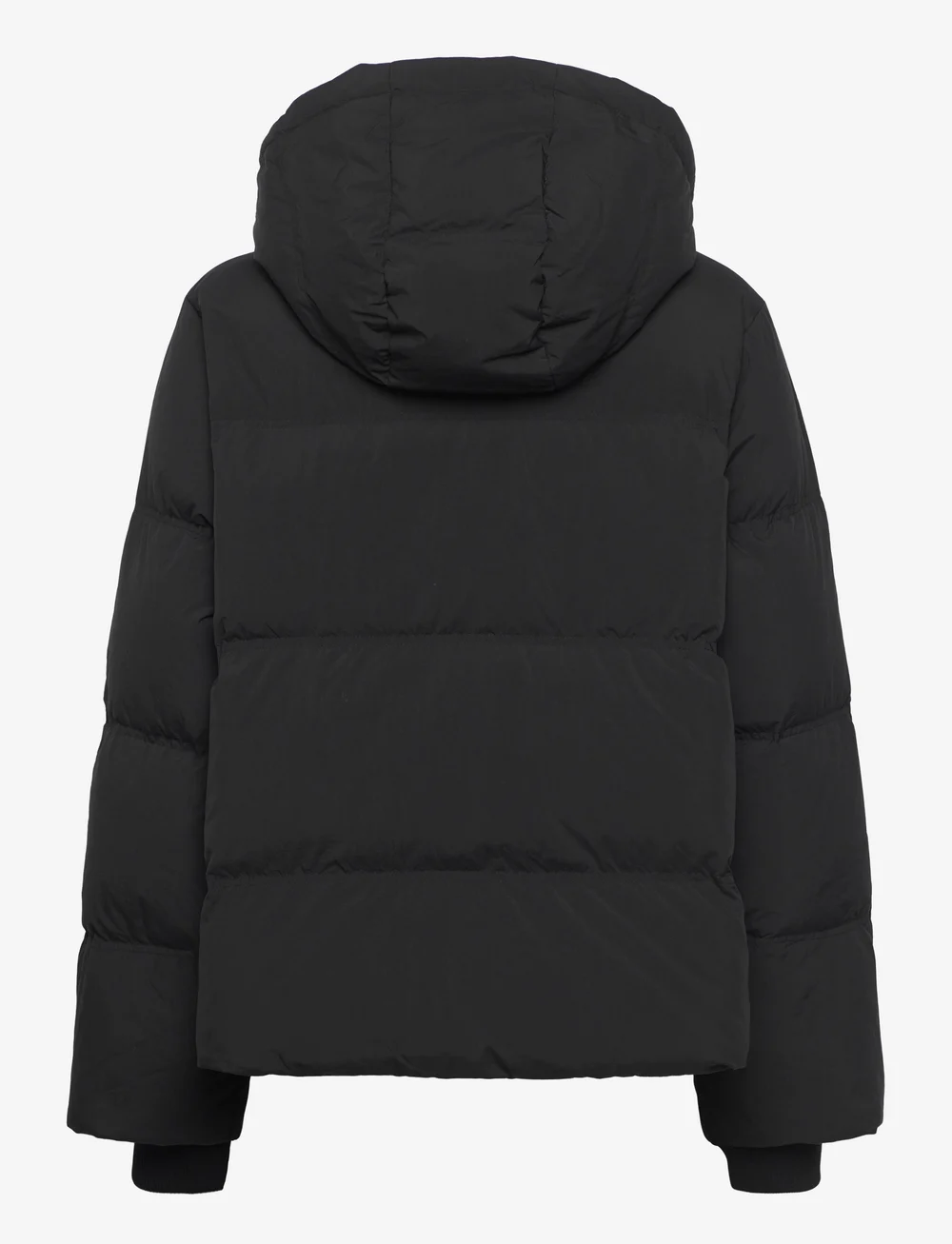 Selected - SLFSOFIE-ANNA REDOWN JACKET NOOS - dunjackor - black - 2