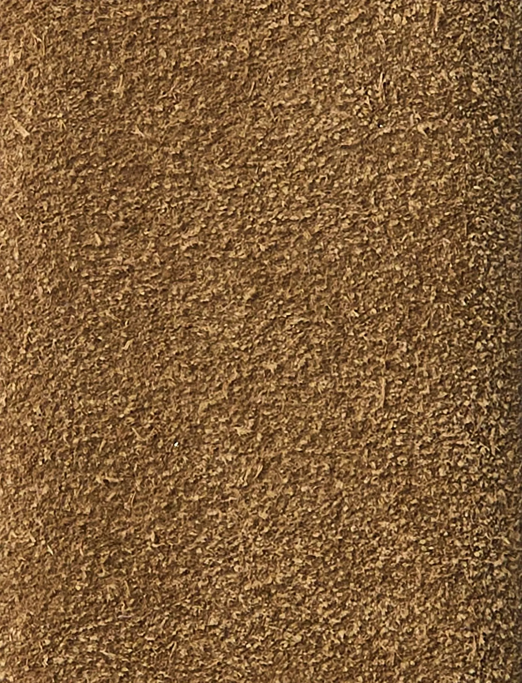 Selected - SLWIONA SUEDE BELT - læderbælter - tan - 2