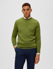 Selected Homme - SLHTOWN MERINO COOLMAX KNIT CREW NOOS - basic knitwear - olive branch - 2