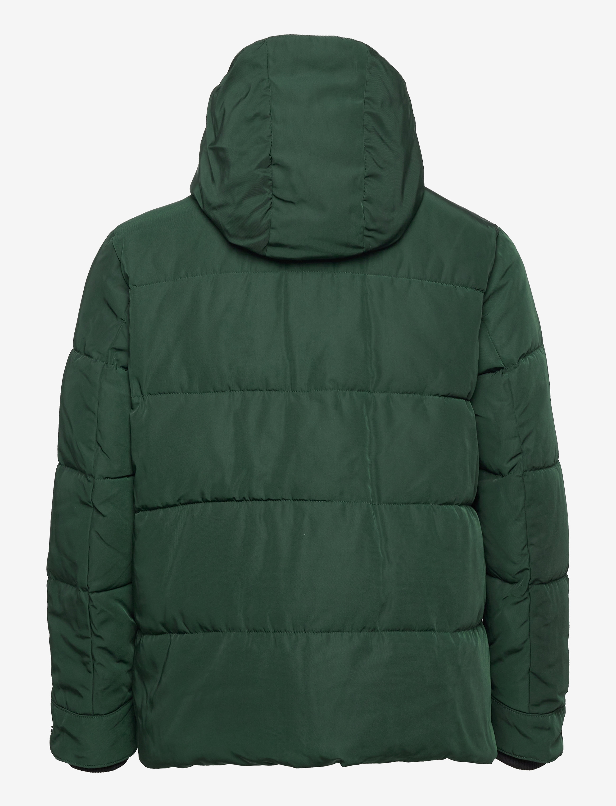 Selected Homme - SLHFALKIRK PUFFER  JKT W - scarab - 1