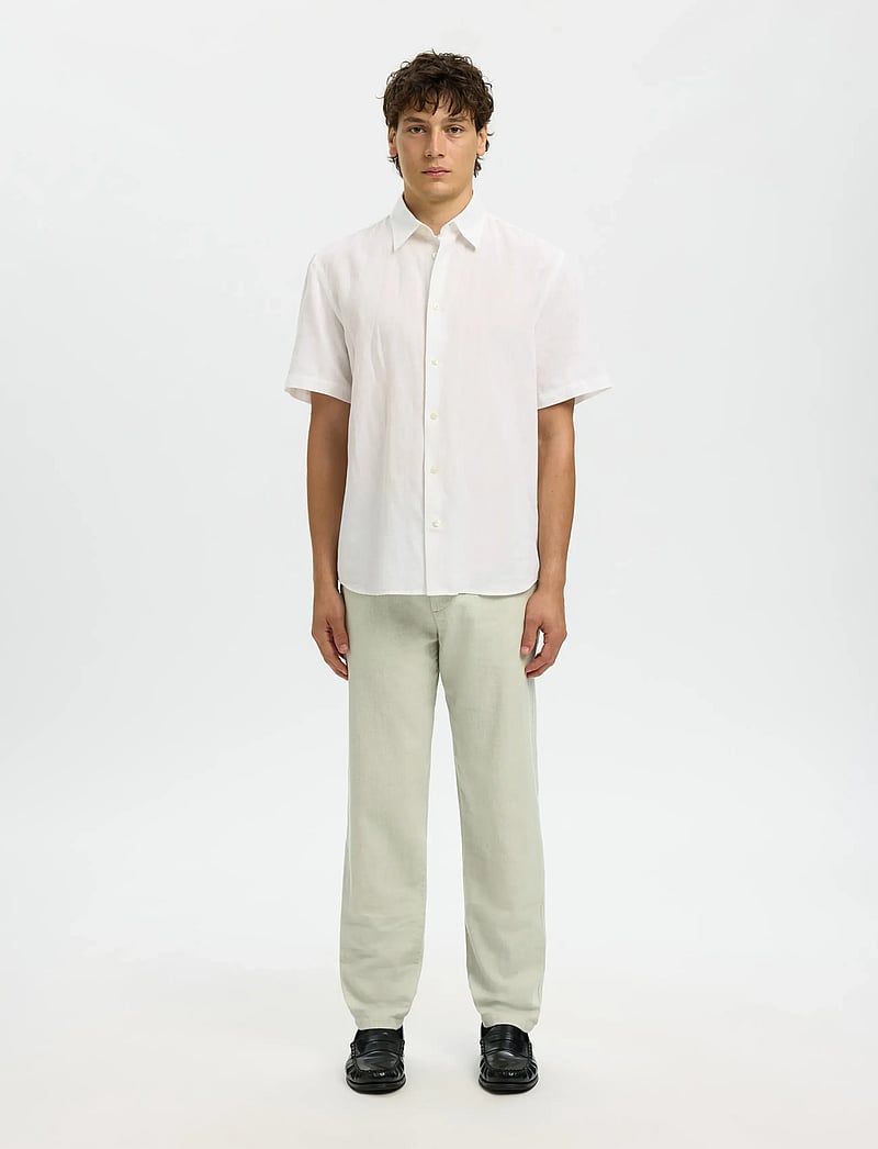 Selected - SLM172-SLIMTAPE BRODY LINEN BLD PNT NOOS - linased püksid - aqua gray - 3