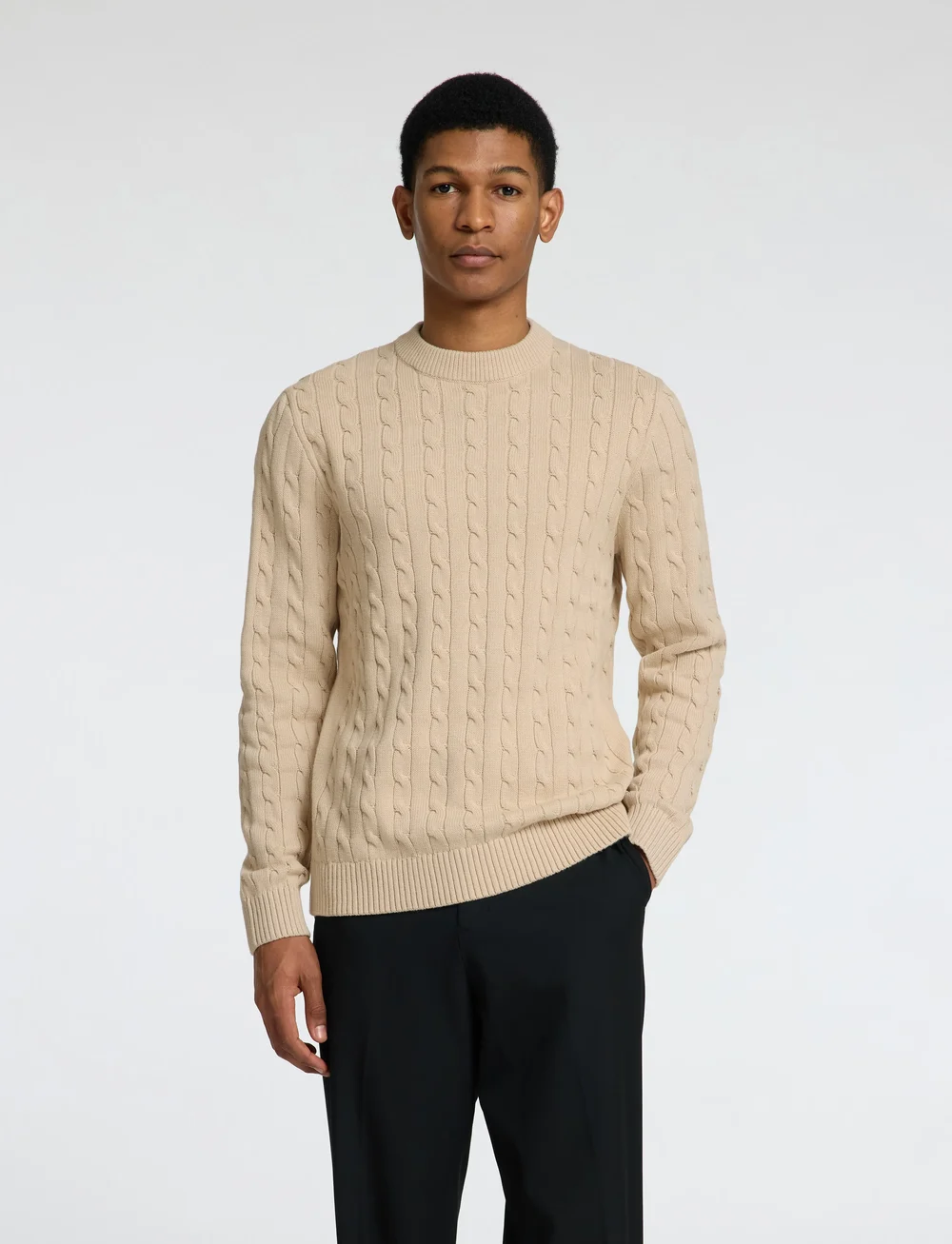 Selected - SLHRYAN STRUCTURE CREW NECK - Ümmarguse kaelusega kudumid - oatmeal - 0