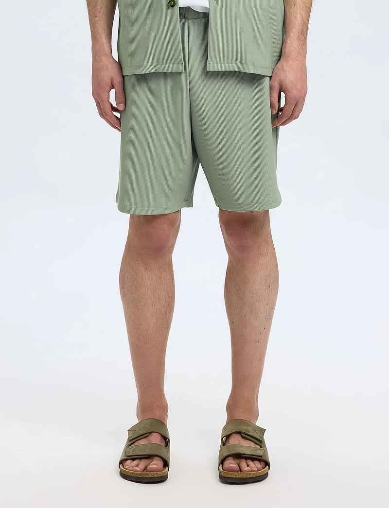 Selected - SLHLOOSE-PLISSE SHORTS EX - chinos shorts - iceberg green - 0