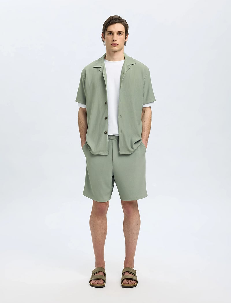 Selected - SLHLOOSE-PLISSE SHORTS EX - chinos shorts - iceberg green - 3